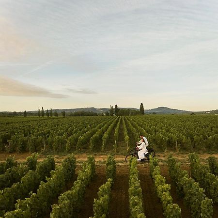 Como Le Montrachet Puligny-Montrachet Luaran gambar