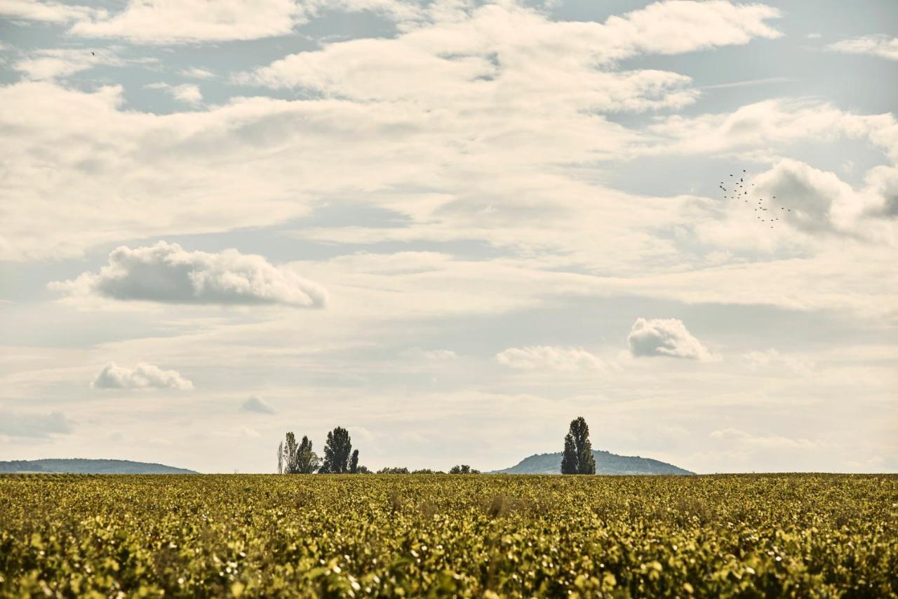 Como Le Montrachet Puligny-Montrachet Luaran gambar