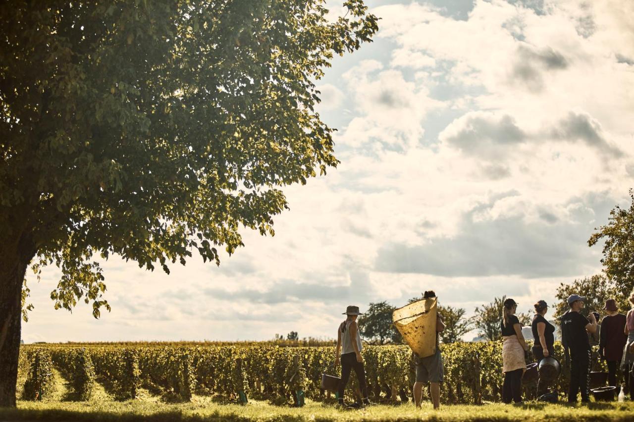 Como Le Montrachet Puligny-Montrachet Luaran gambar