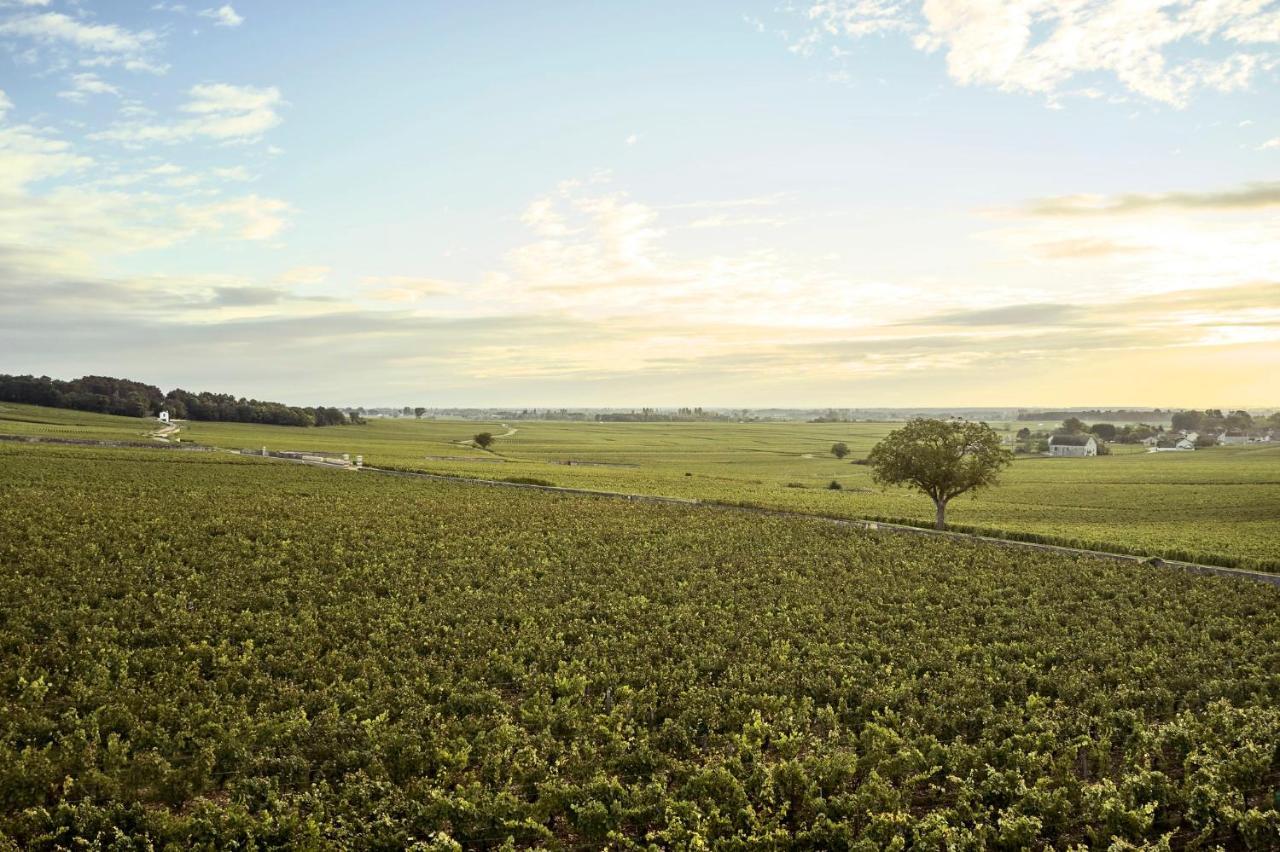 Como Le Montrachet Puligny-Montrachet Luaran gambar